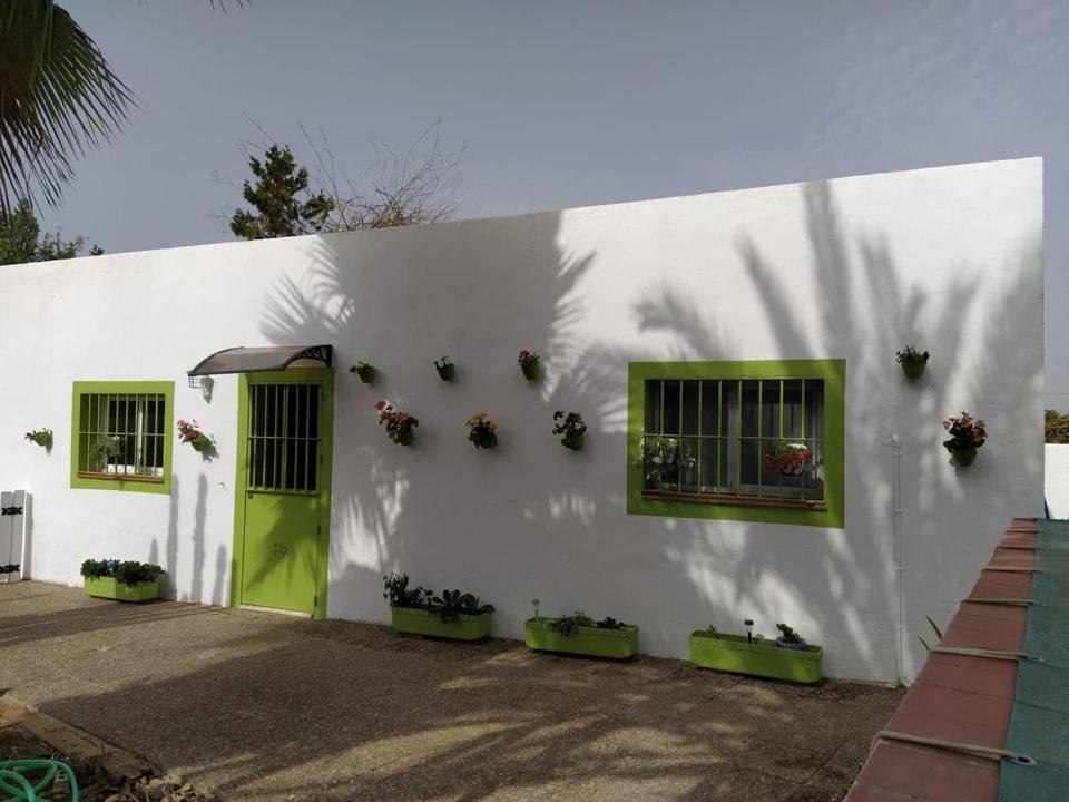 Alegría * Sevilla