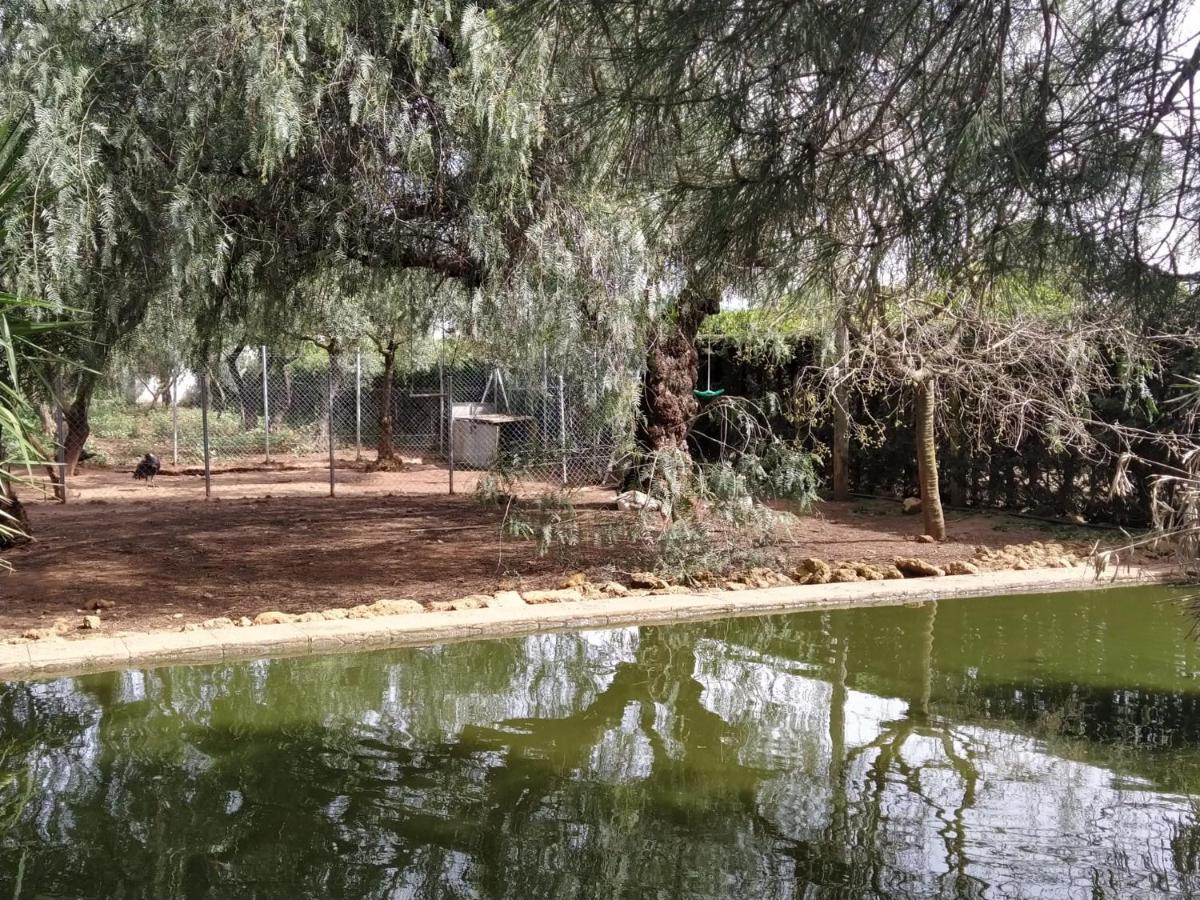 Apartamento Alegría Sevilla