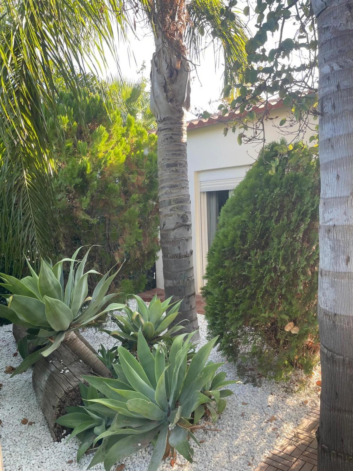 Alegría Apartamento Sevilla