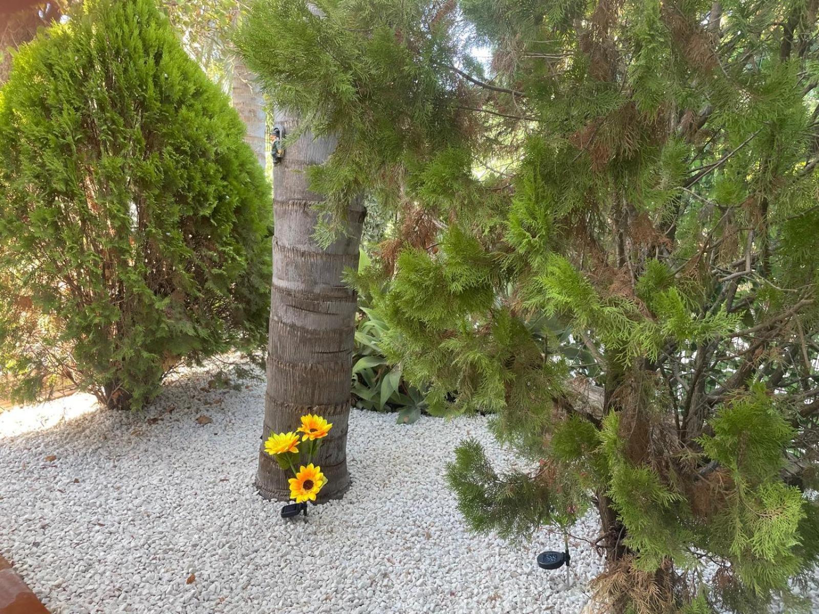 Apartamento Alegría Sevilla